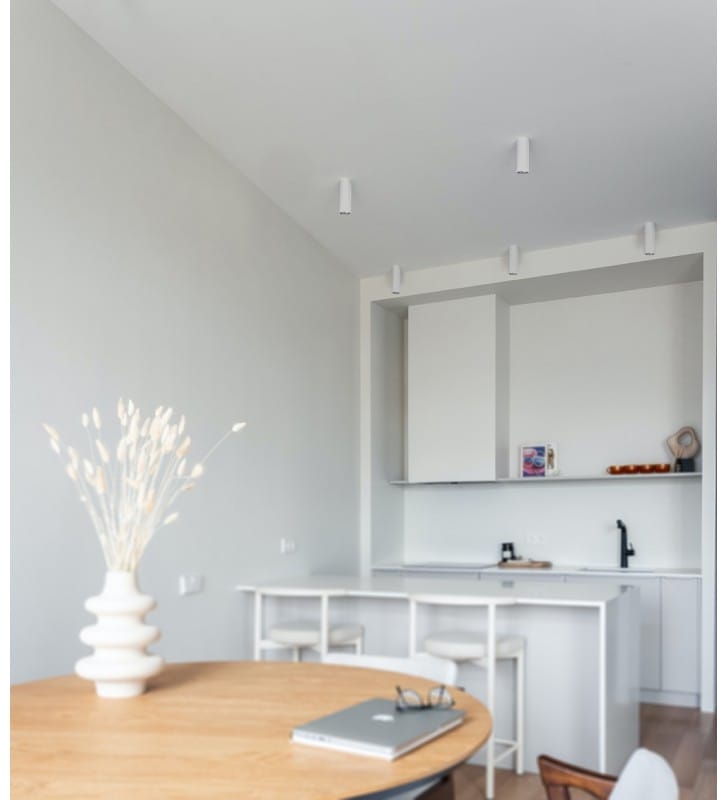 Biała lampa sufitowa typu downlight Santi walec wysokość 20cm do salonu sypialni kuchni jadalni na hol